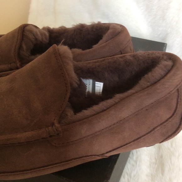 UGG ASCOT SLIPPERS - Picture 4 of 4